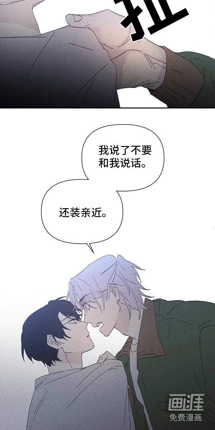 第19章：花木有情：挑衅