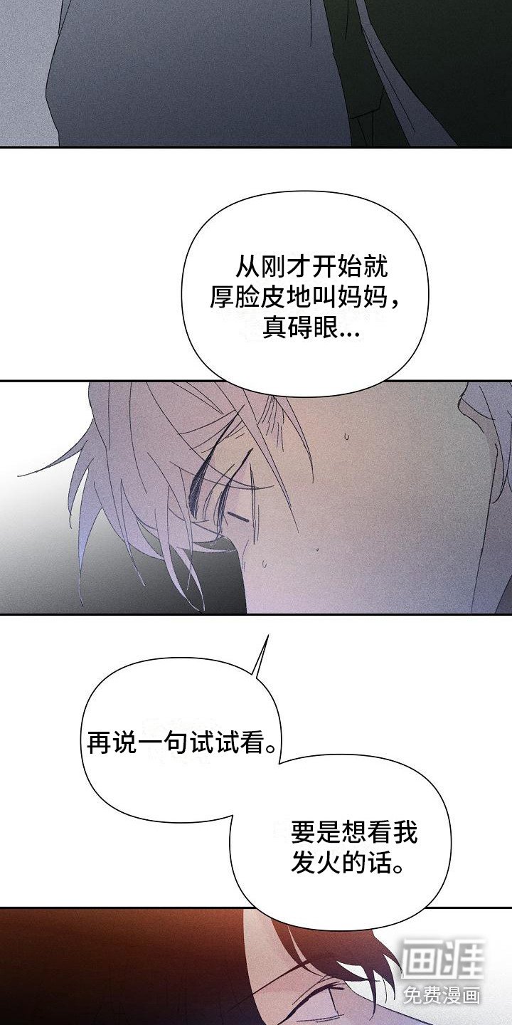 第19章：花木有情：挑衅