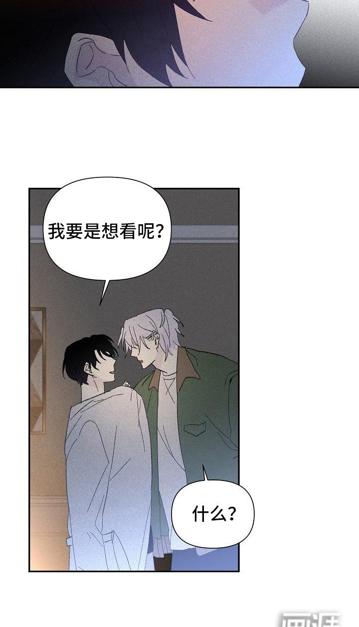 第19章：花木有情：挑衅