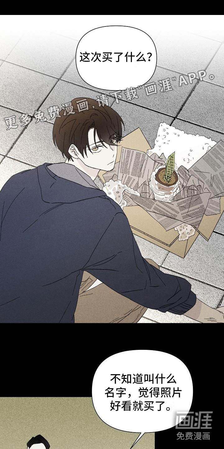 第20章：花木有情：养植物