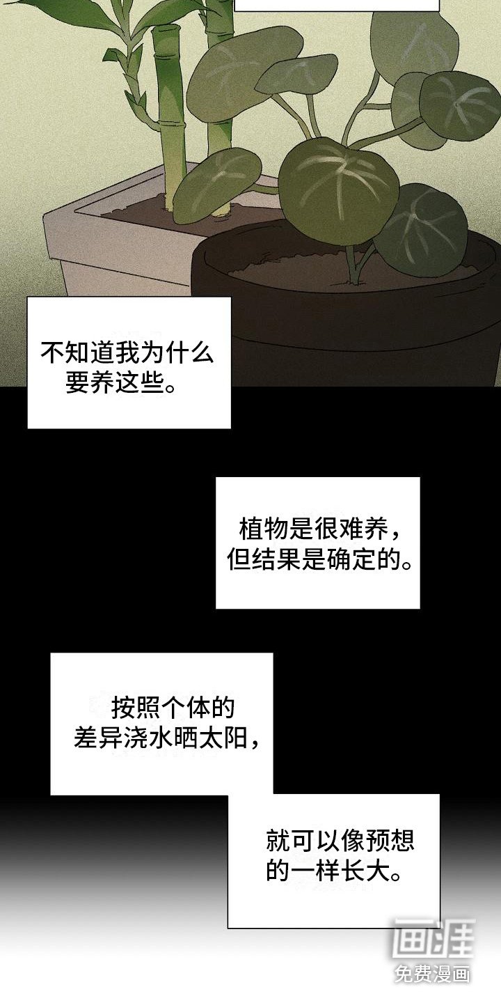 第20章：花木有情：养植物