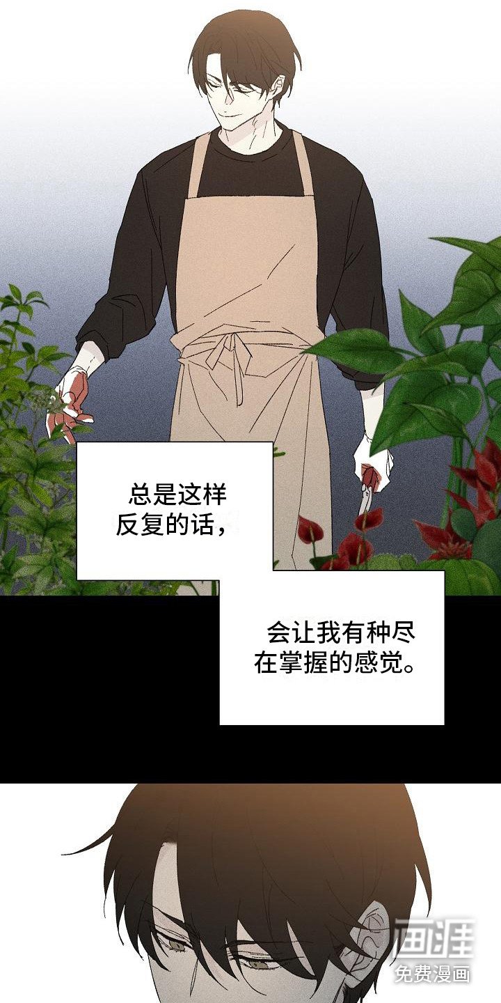 第20章：花木有情：养植物