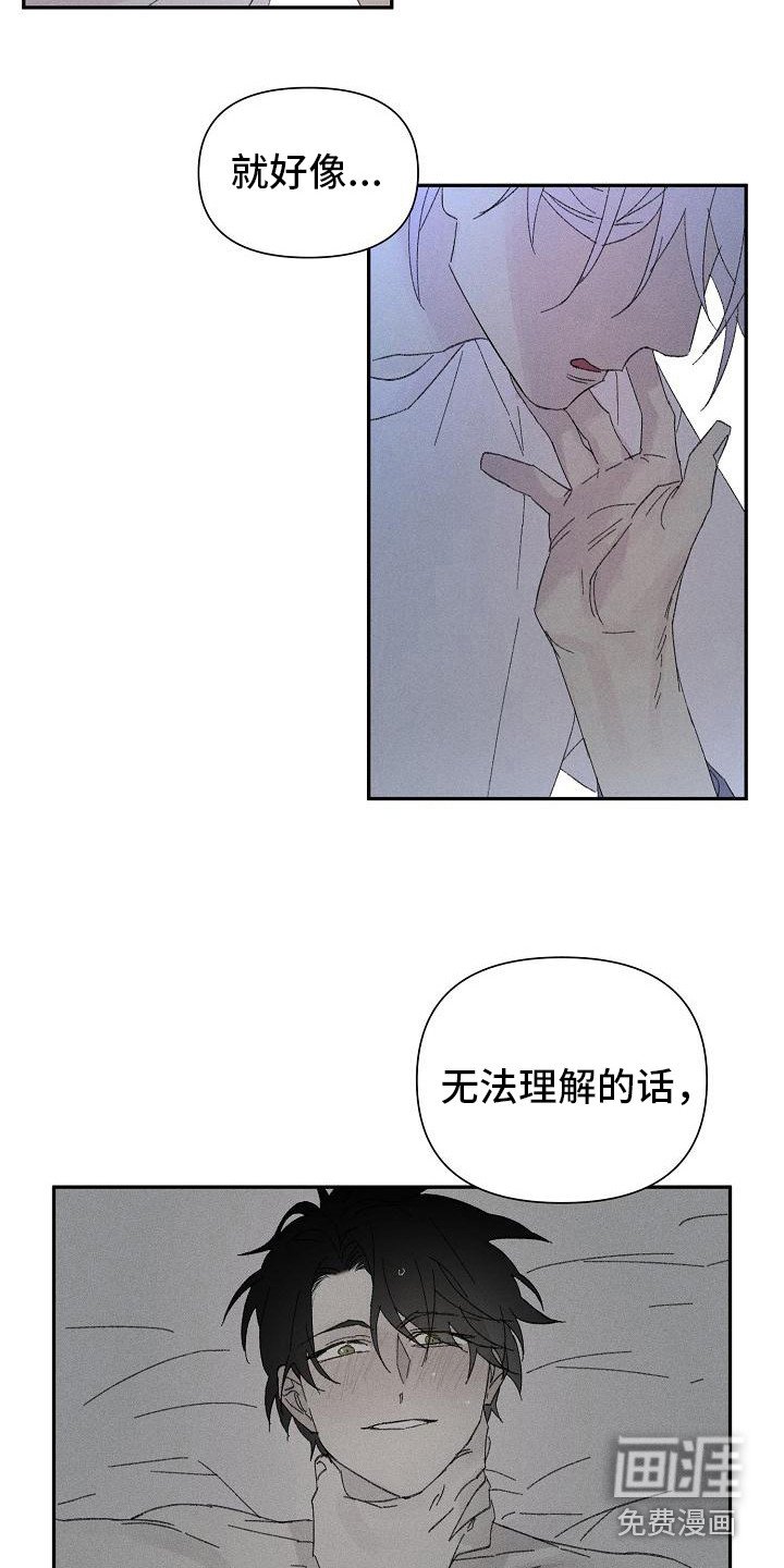 第22章：花木有情：无法理解