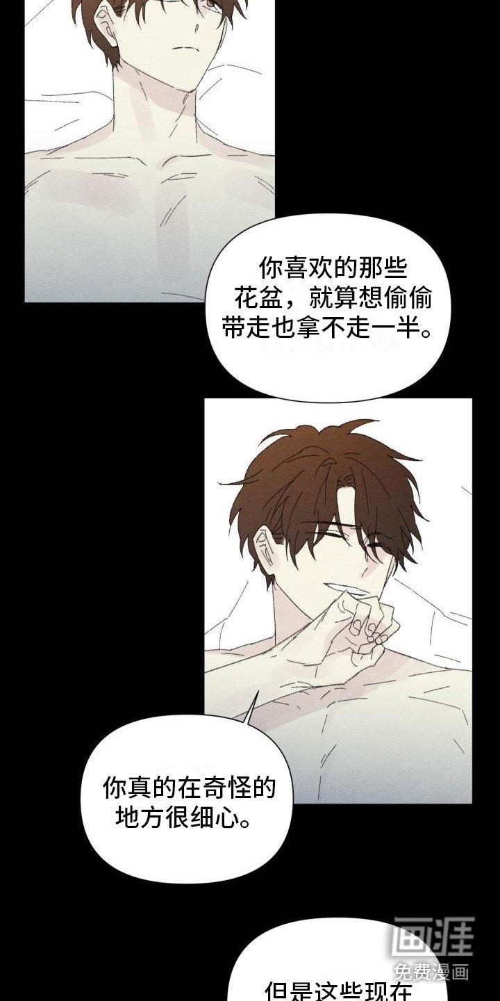 第25章：花木有情：卸下面具【完】