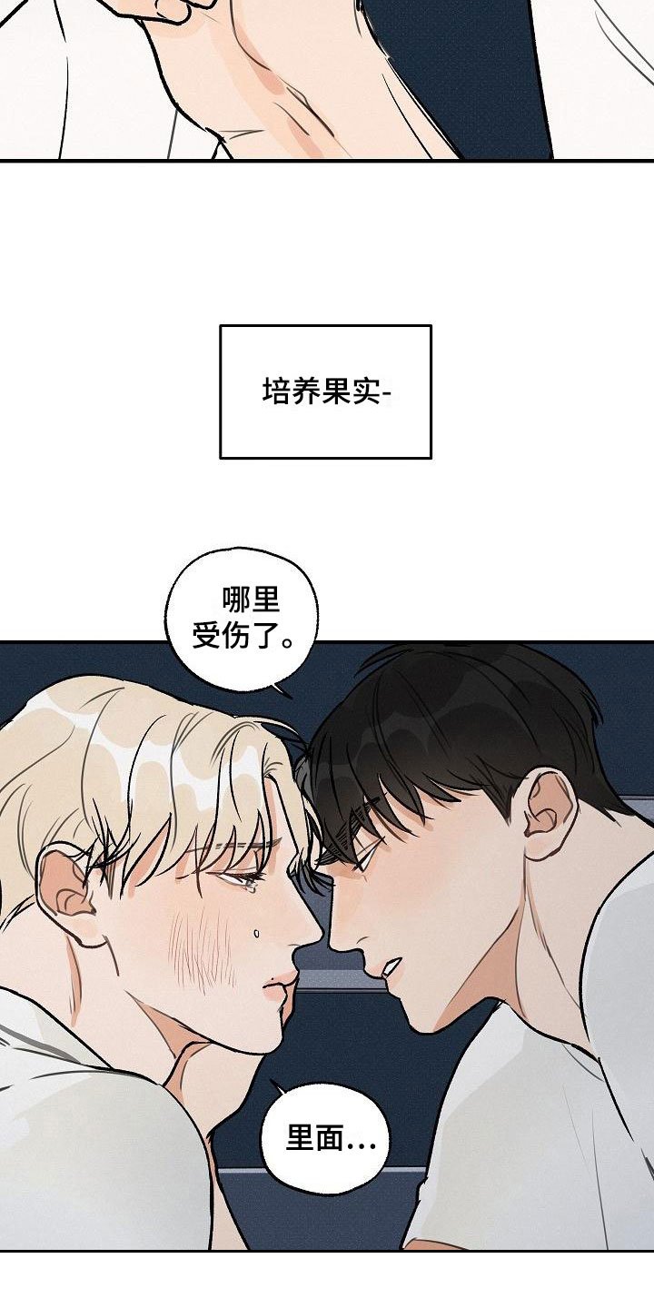 第3章：坏种：无法回头