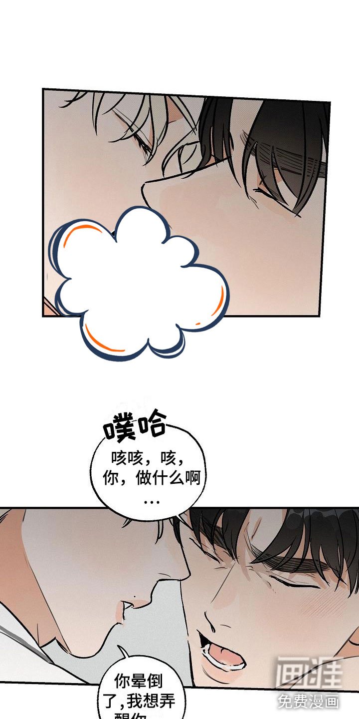 第4章：坏种：我爱你【完】