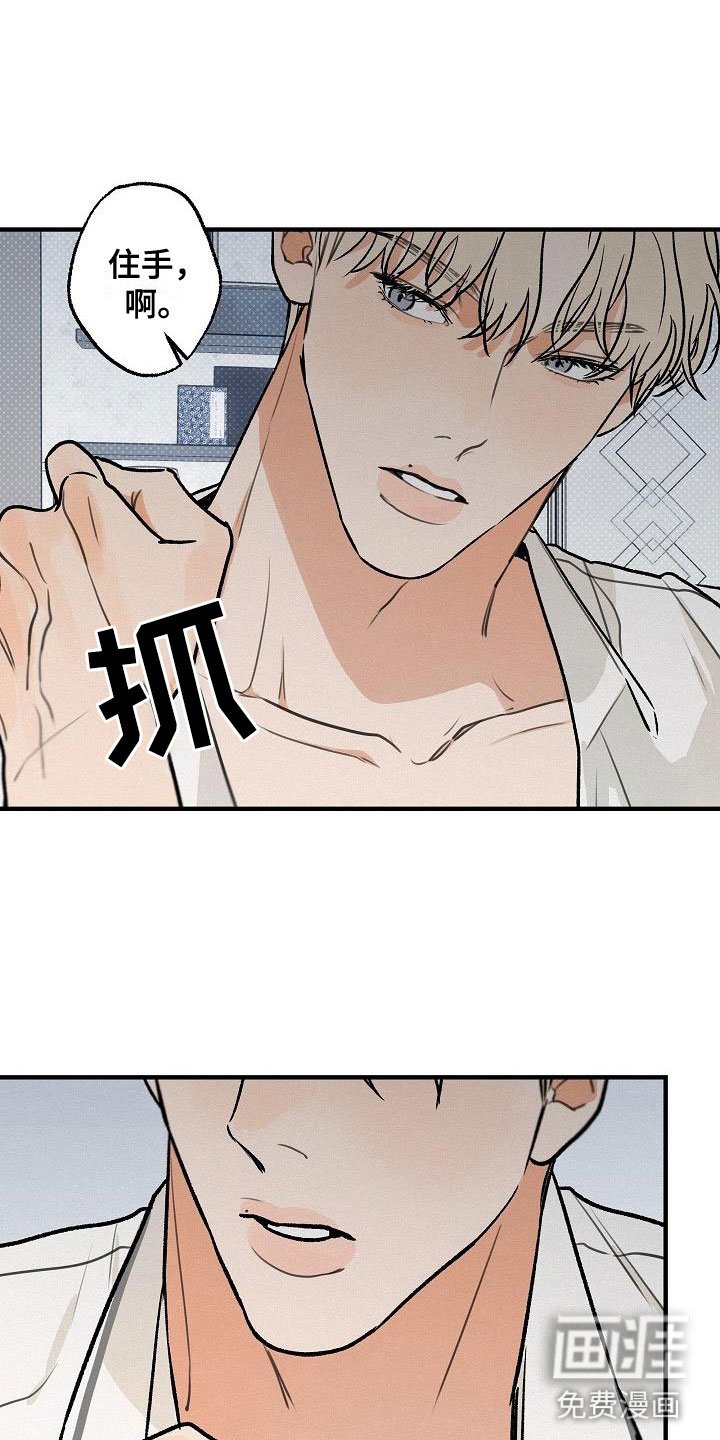 第4章：坏种：我爱你【完】