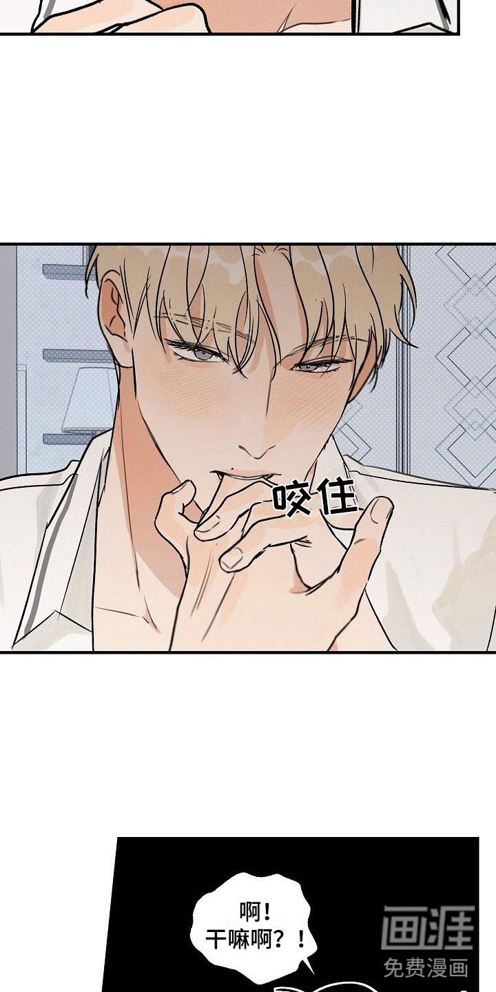 第4章：坏种：我爱你【完】