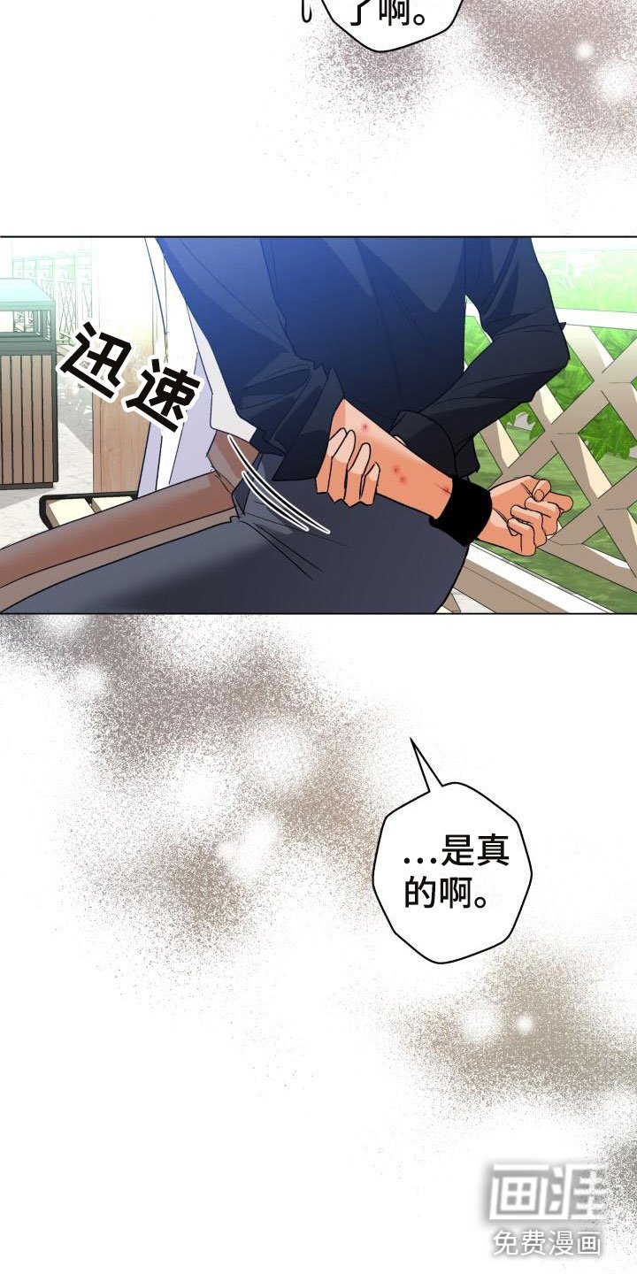 第5章：别惹我：约定