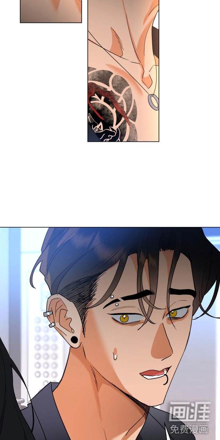 第6章：别惹我：需要药