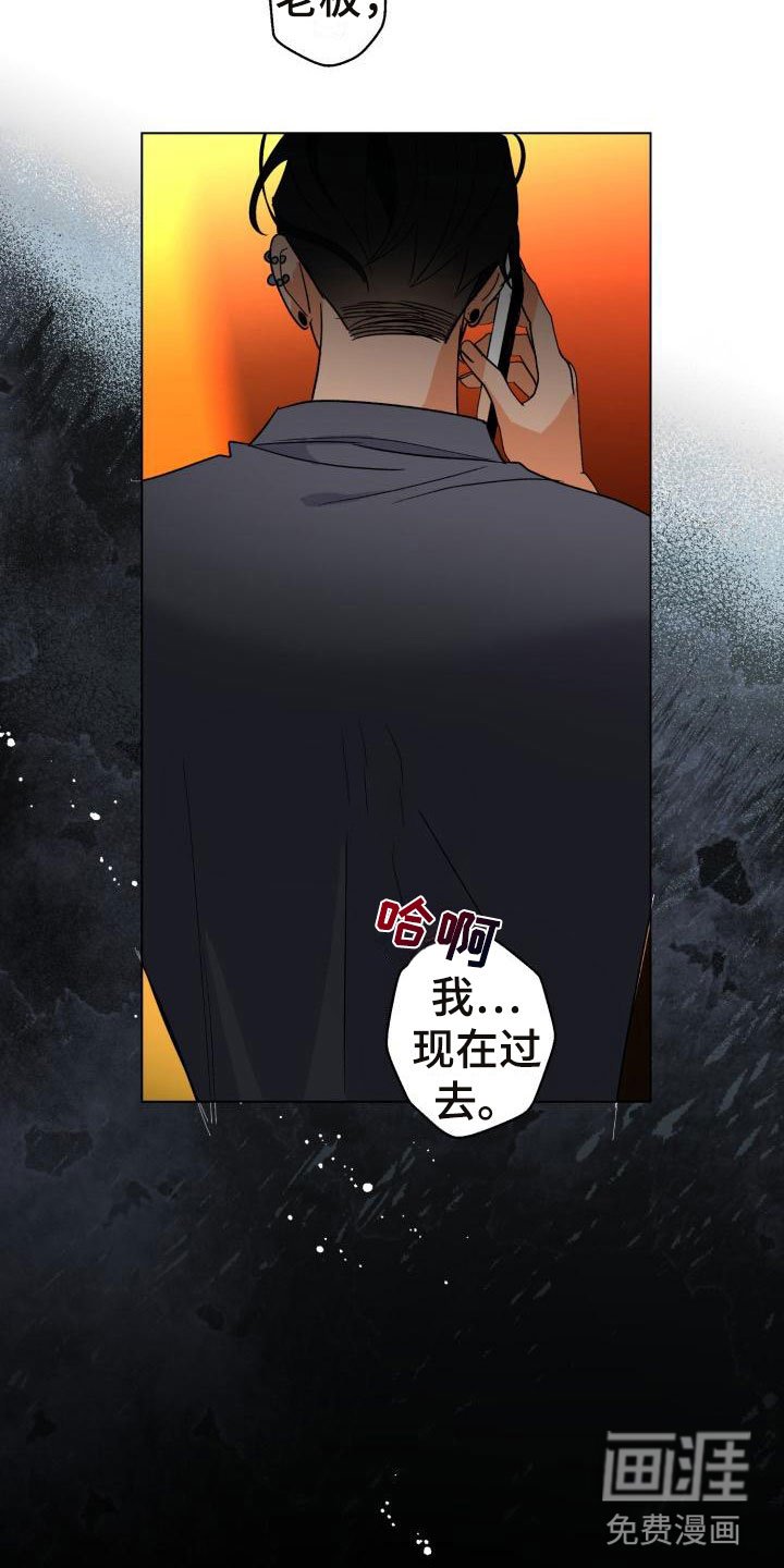 第6章：别惹我：需要药