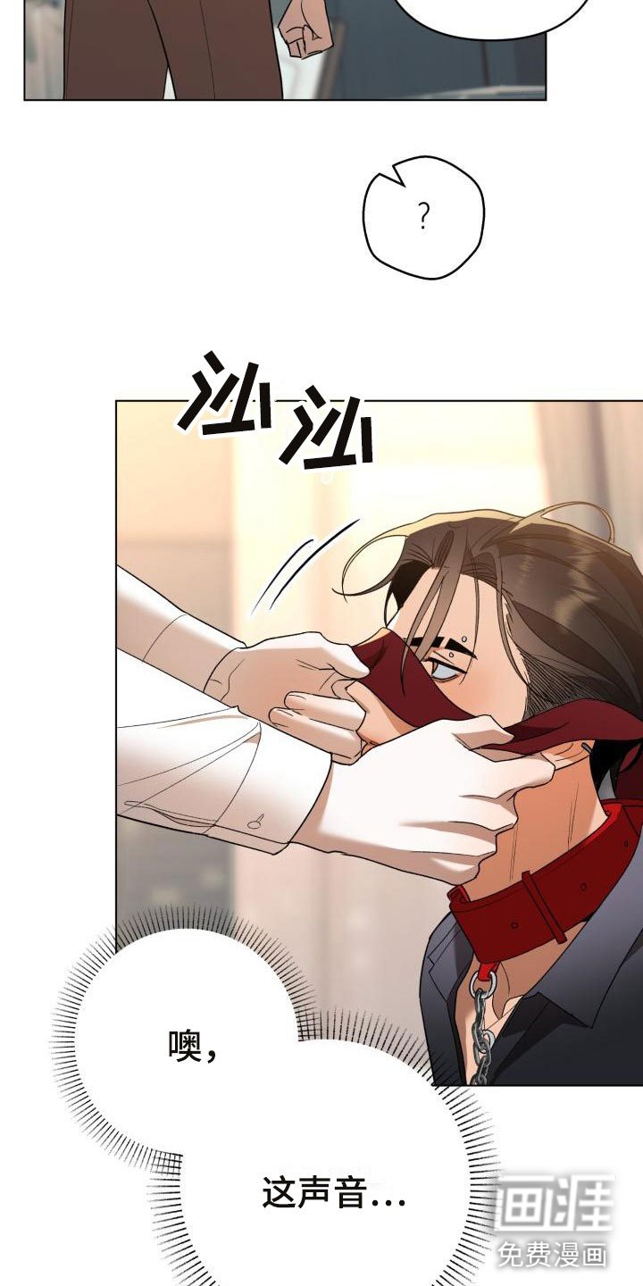 第7章：别惹我：弟弟来了
