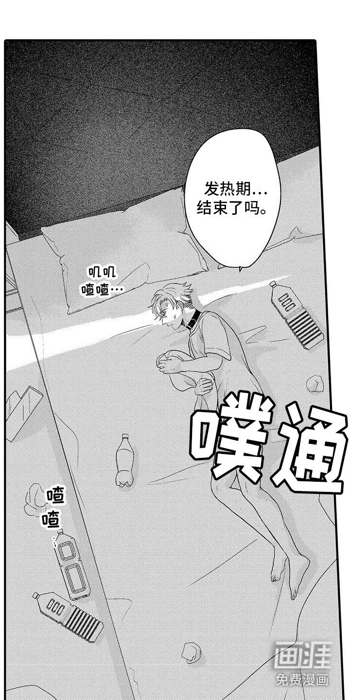 第15章：衣服 