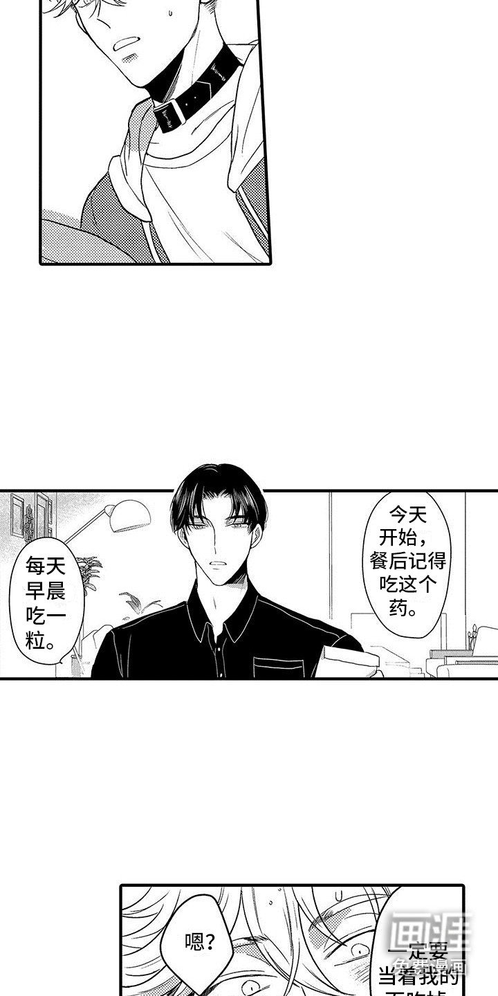 第17章：很积极