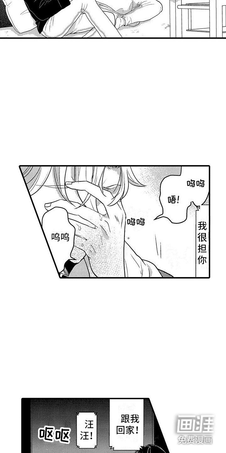 第18章：看电影