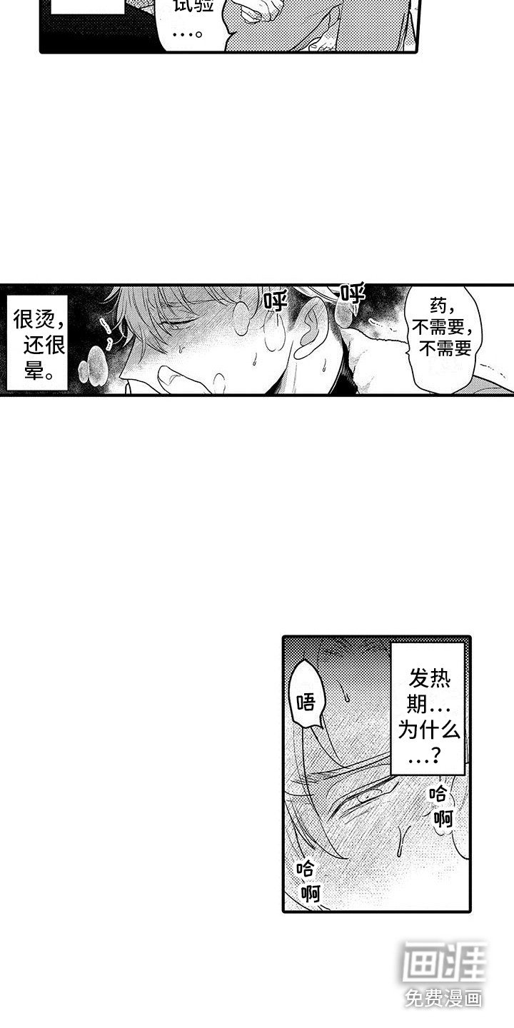 第28章：实验继续 