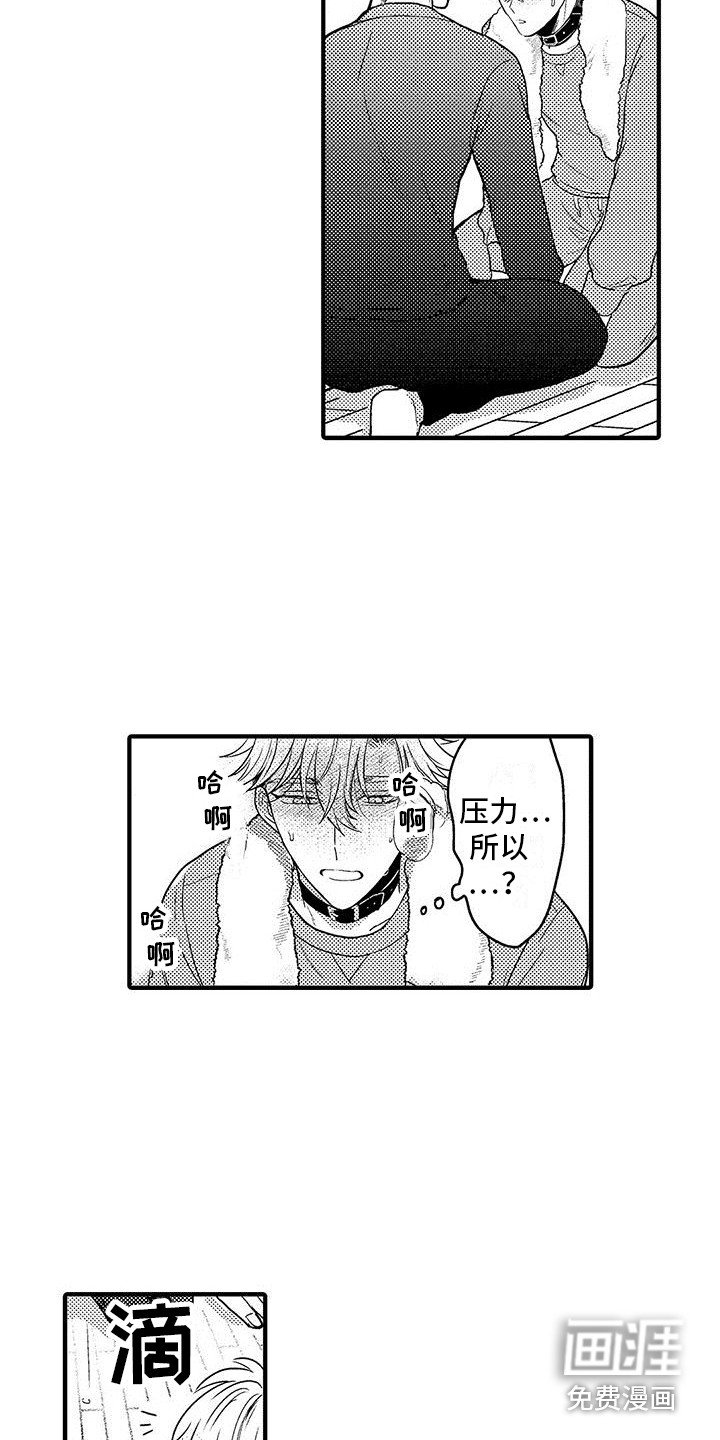 第28章：实验继续 