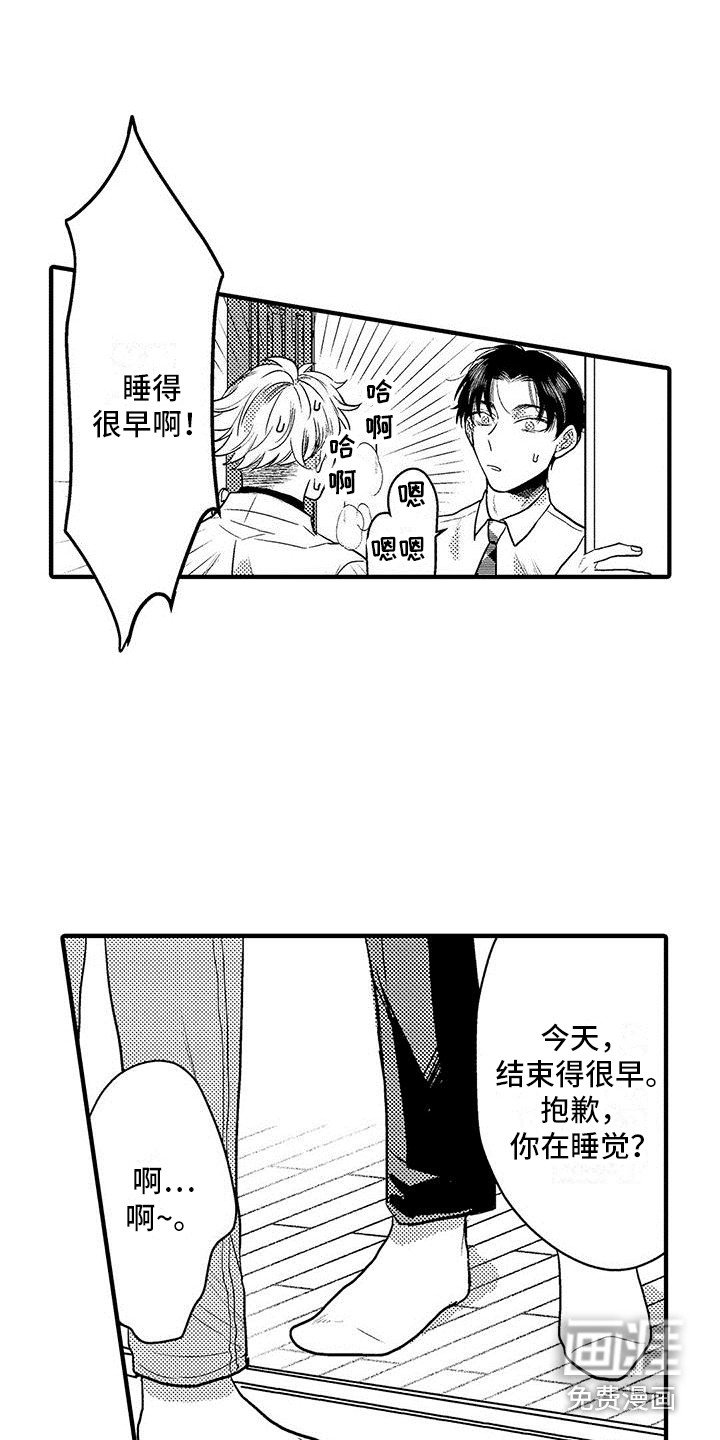 第7章：看视频