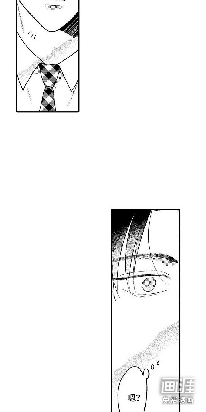 第7章：看视频
