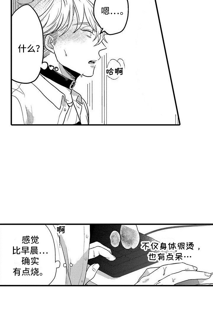 第8章： 发热期