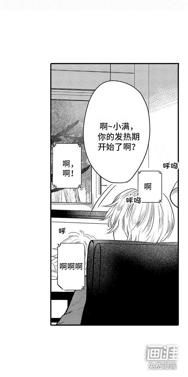 第8章： 发热期