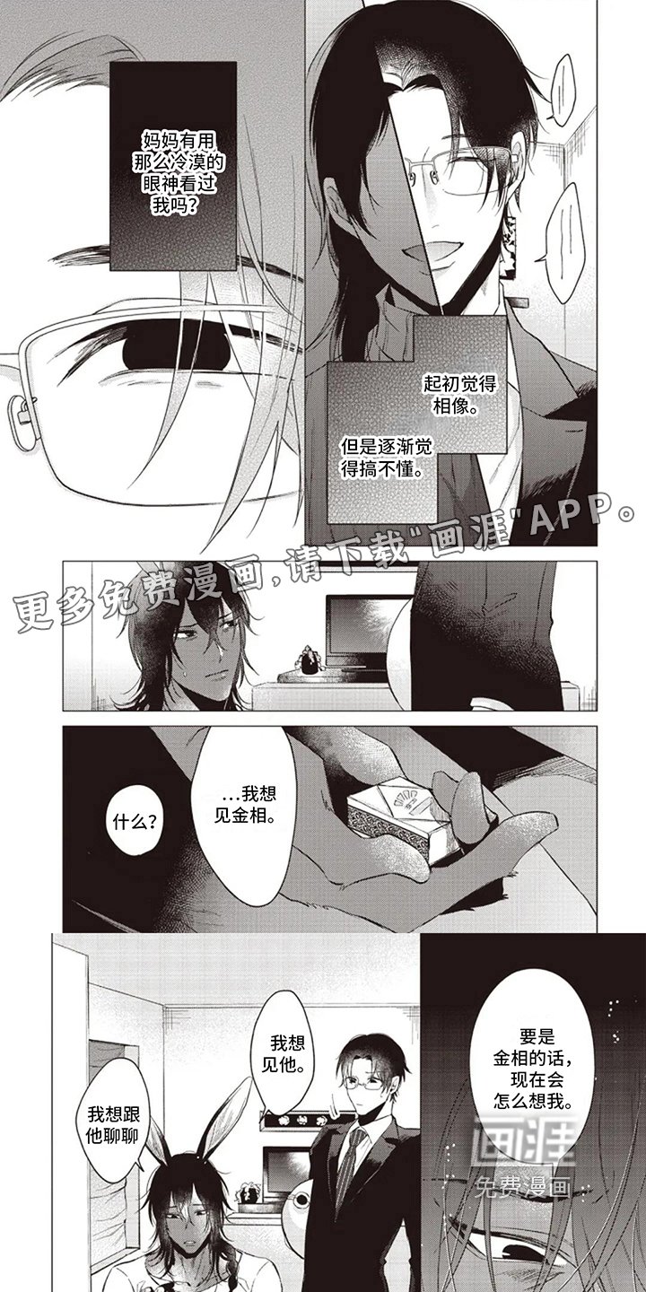 第14章：迷茫