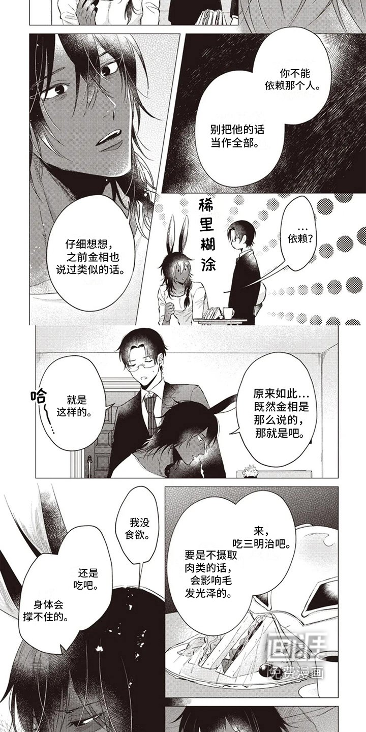 第14章：迷茫