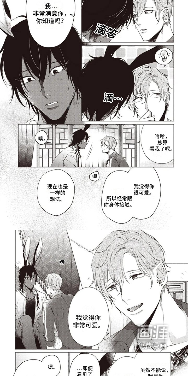 第5章：可爱
