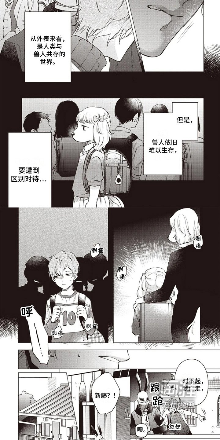 第7章：区别对待