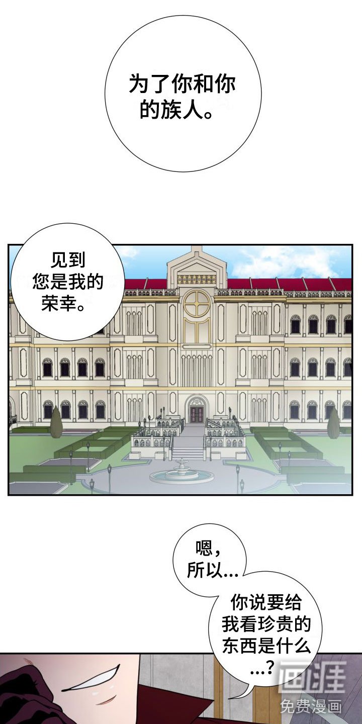 第6章： 亲眼所见