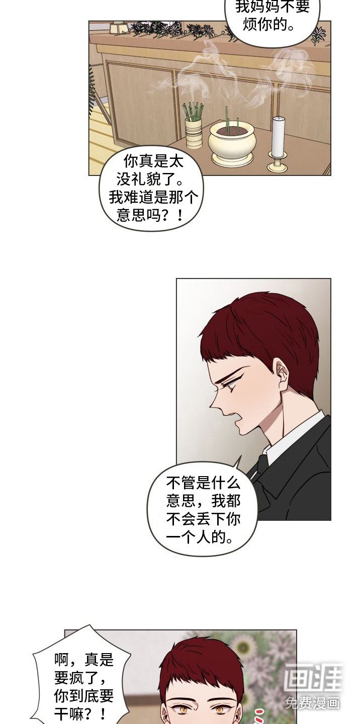 第6章：没有回答 