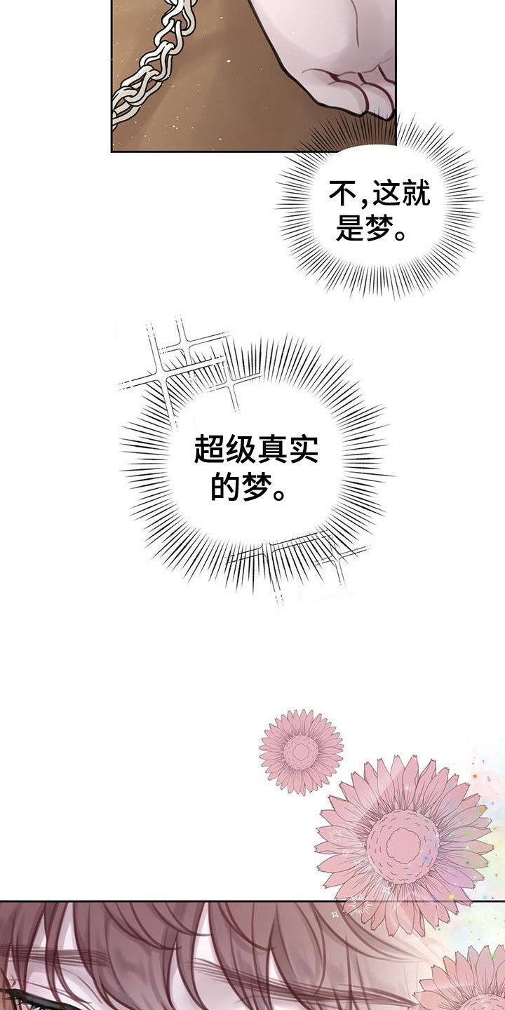 第3章：最棒的梦