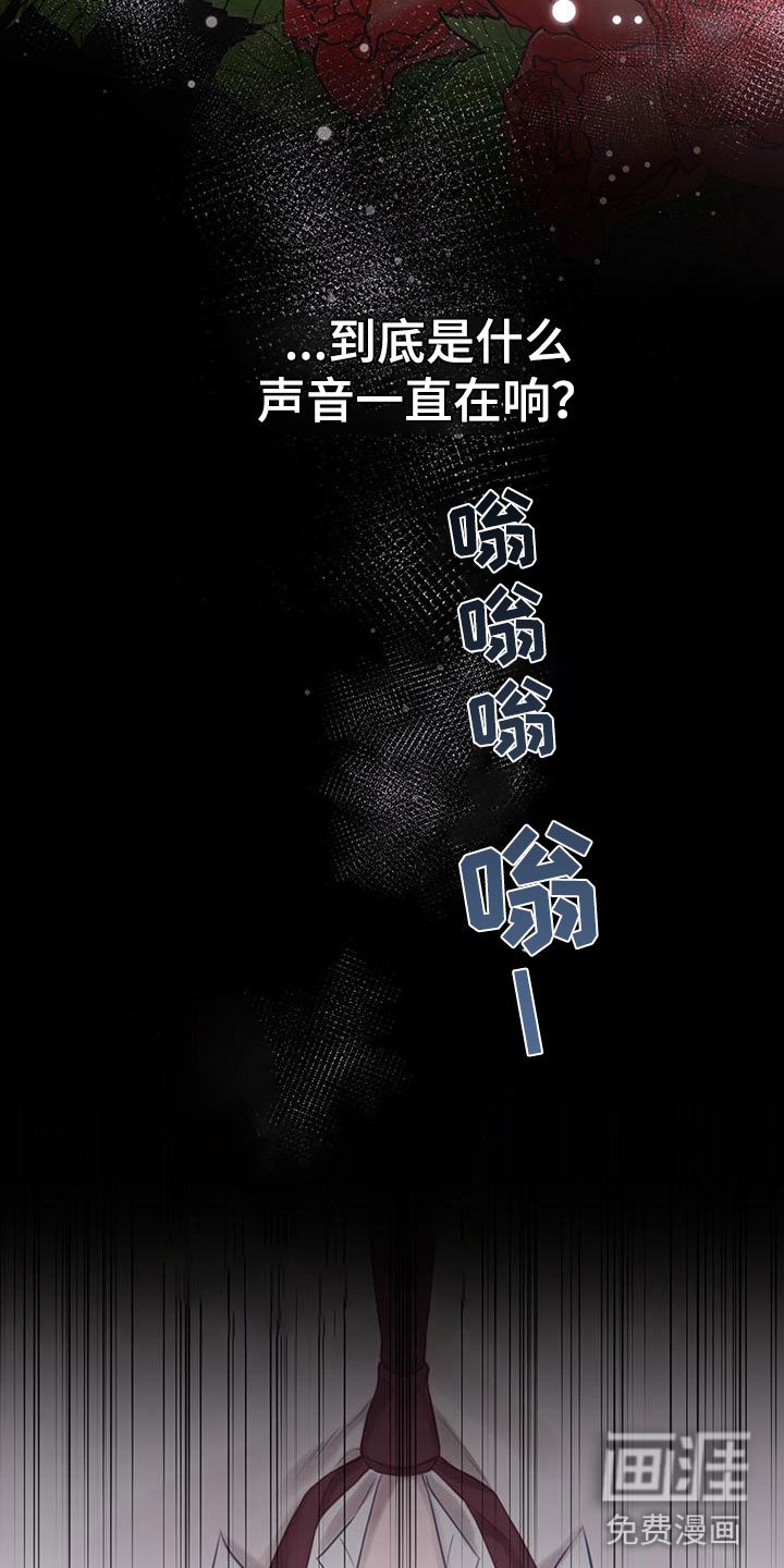 第5章：不是梦