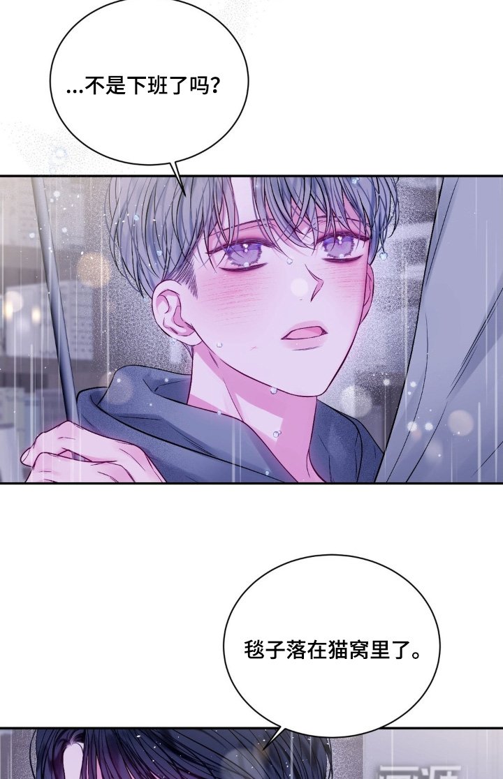第15章：见面