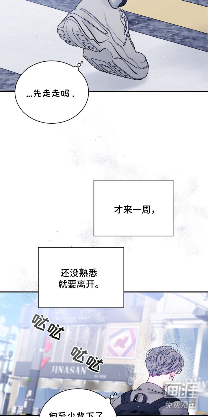 第2章：猫咪书店