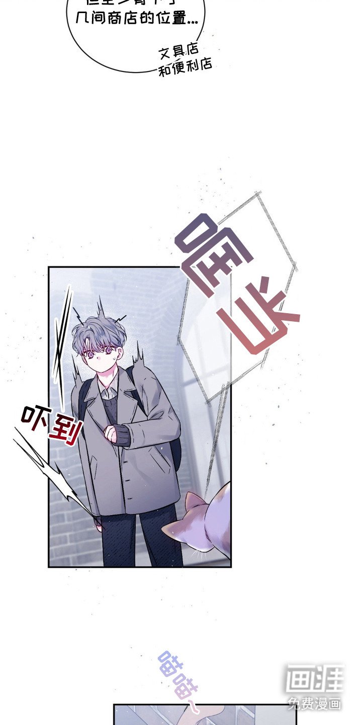 第2章：猫咪书店