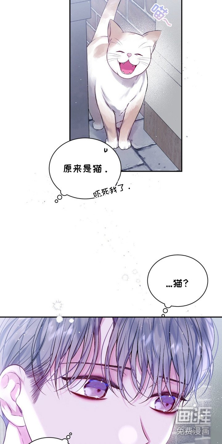 第2章：猫咪书店