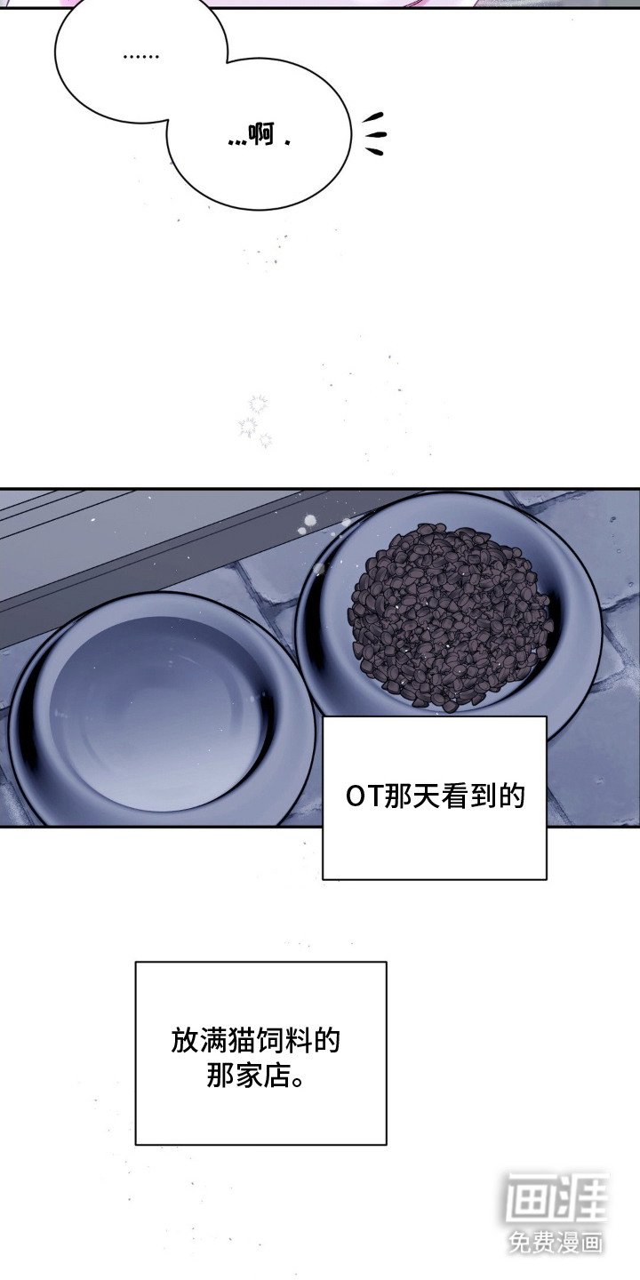 第2章：猫咪书店