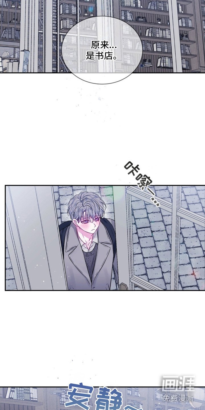第2章：猫咪书店
