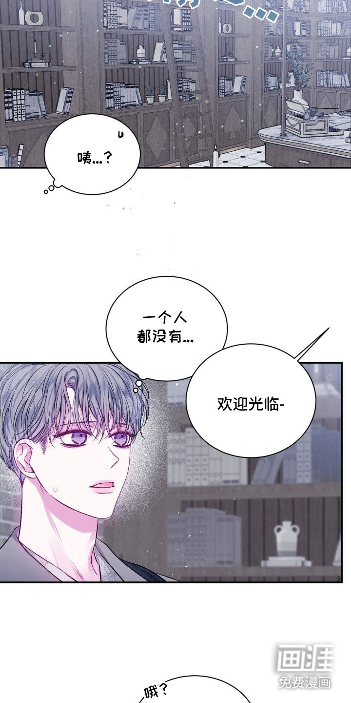 第2章：猫咪书店