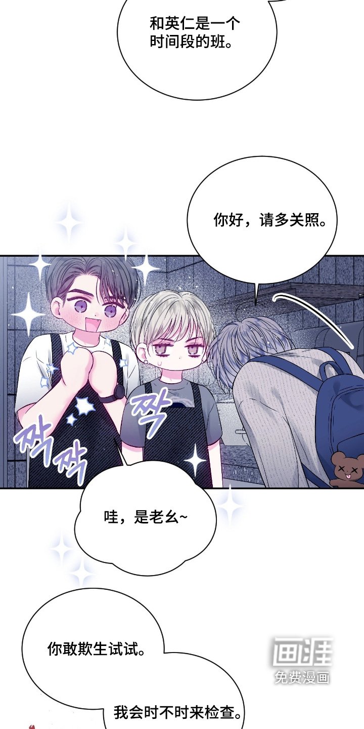 第31章：开始工作了