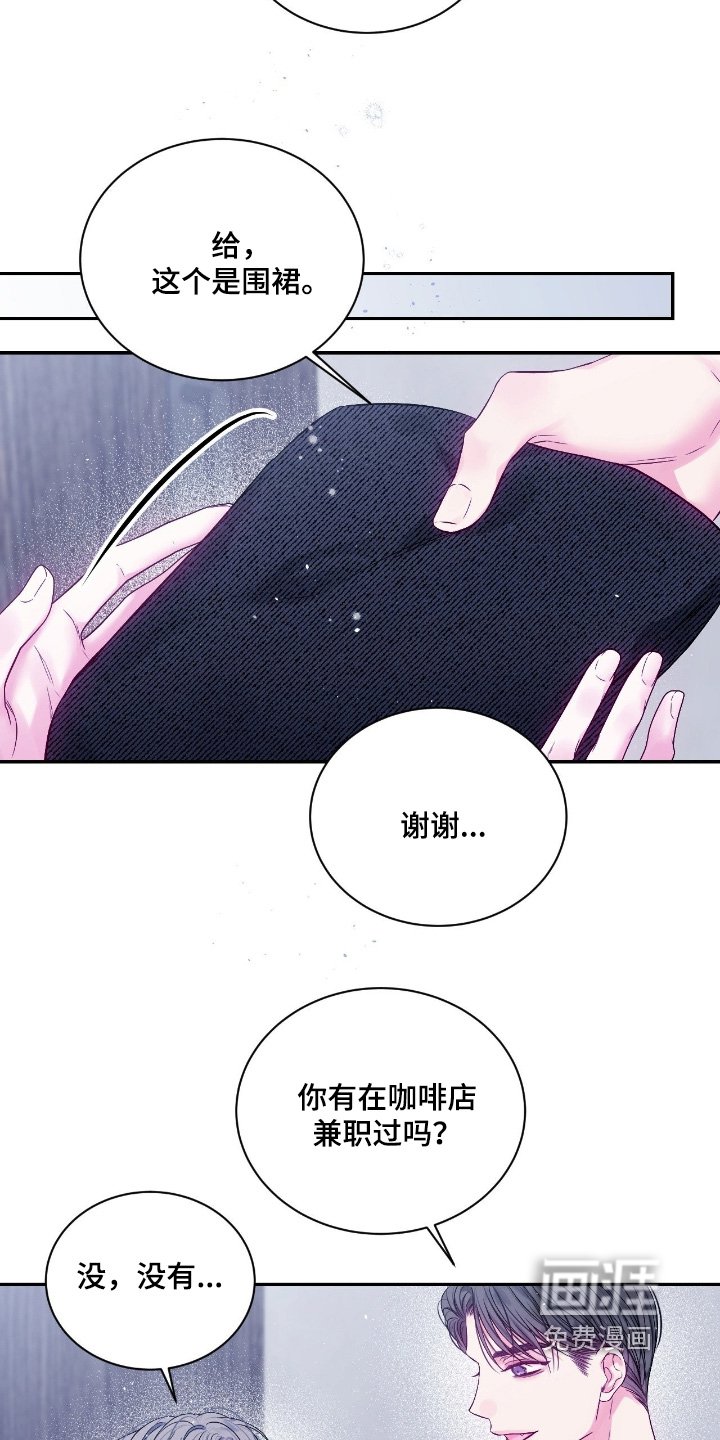 第31章：开始工作了