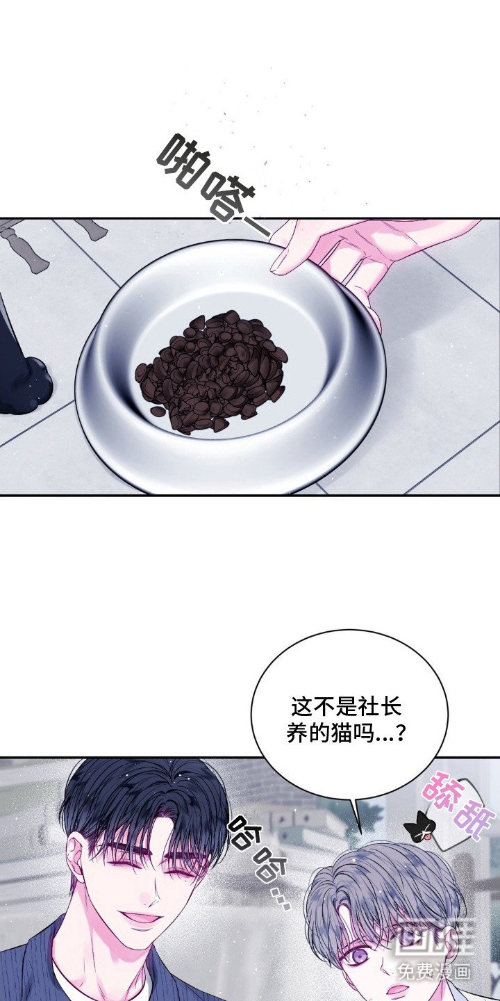 第8章：逐渐平静