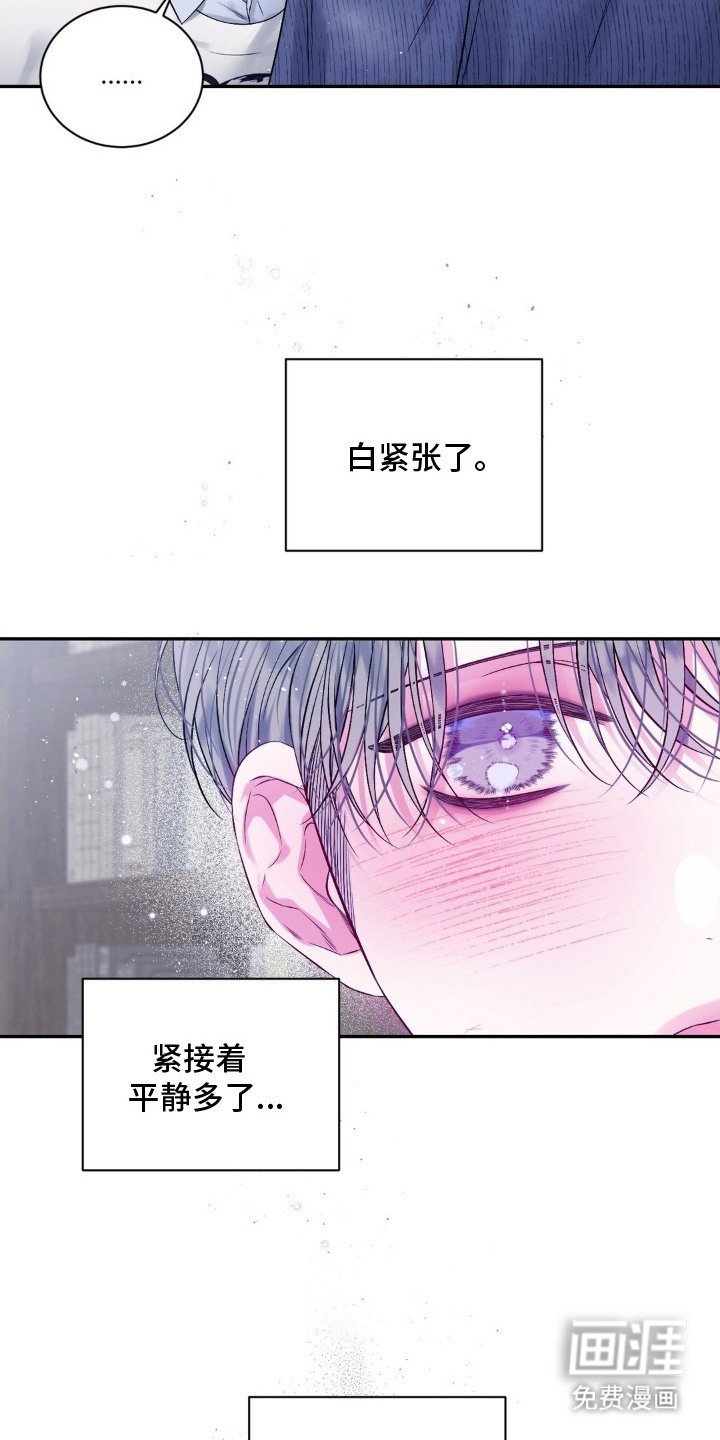 第8章：逐渐平静