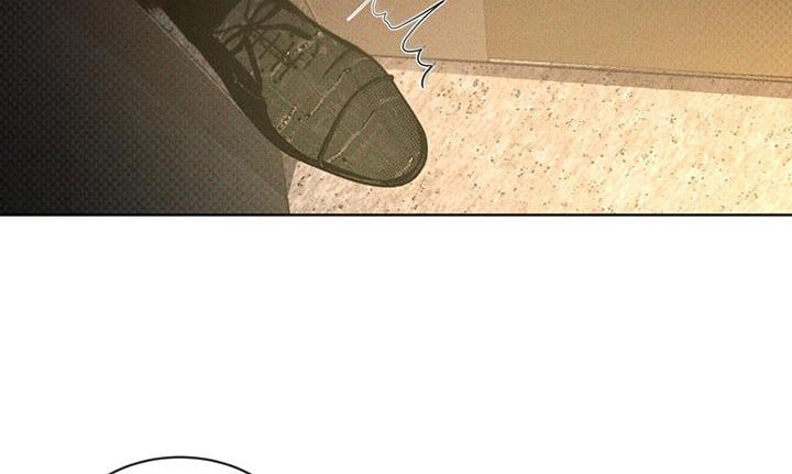 第23章：放飞吧