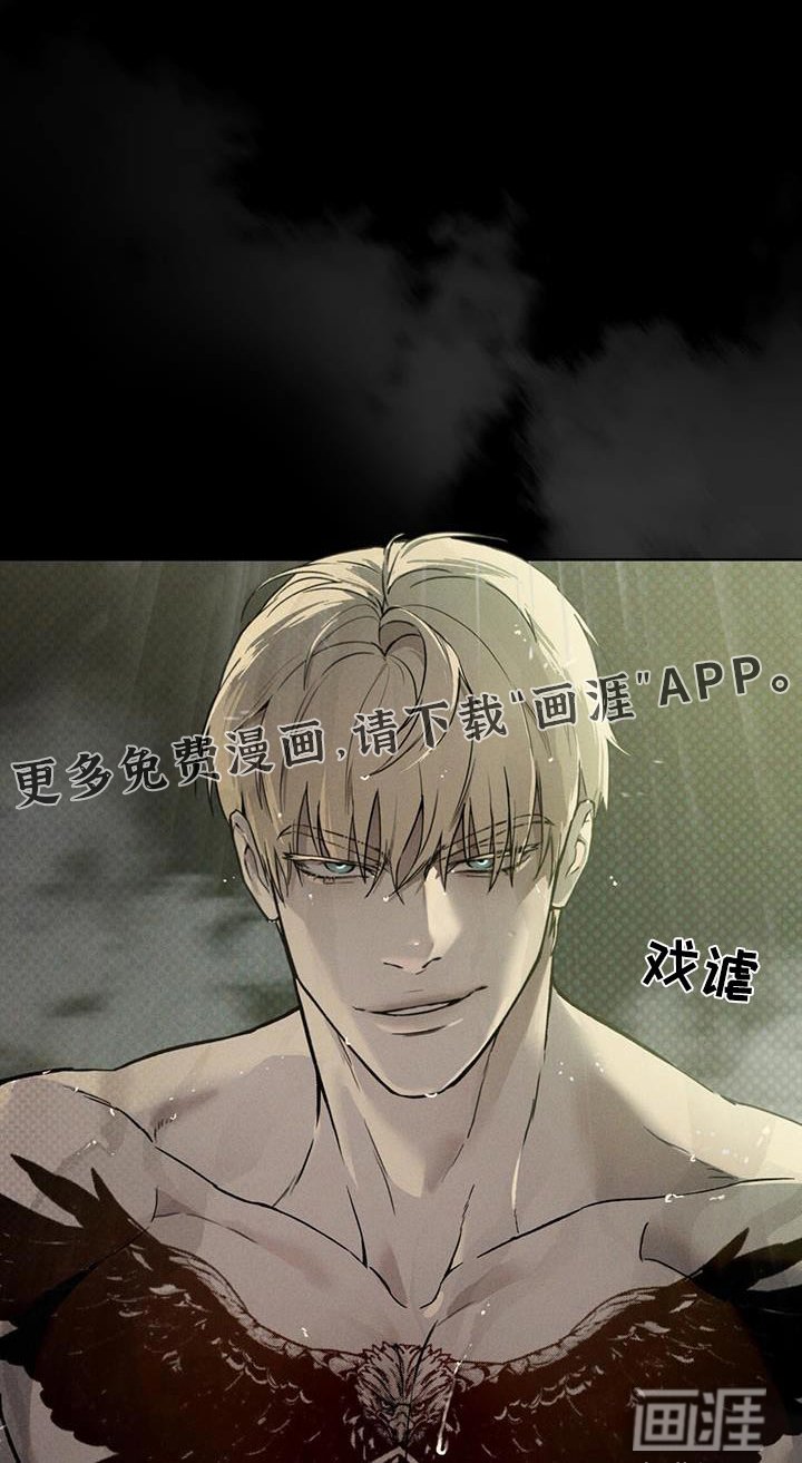 第41章：介绍