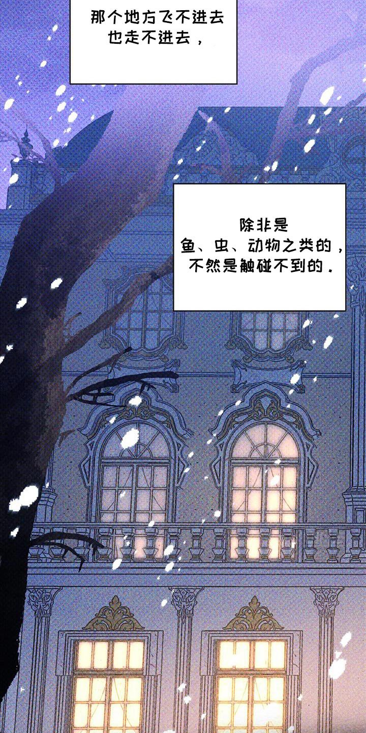 第84章：宝石盒