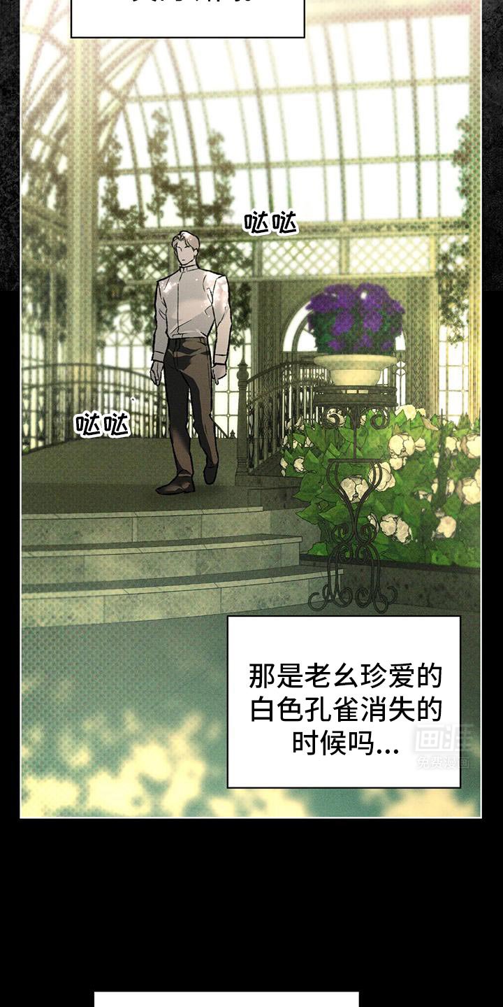 第89章：可爱的事