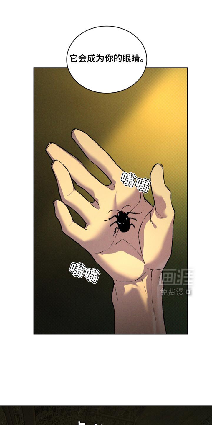 第96章：它会成为你的眼睛