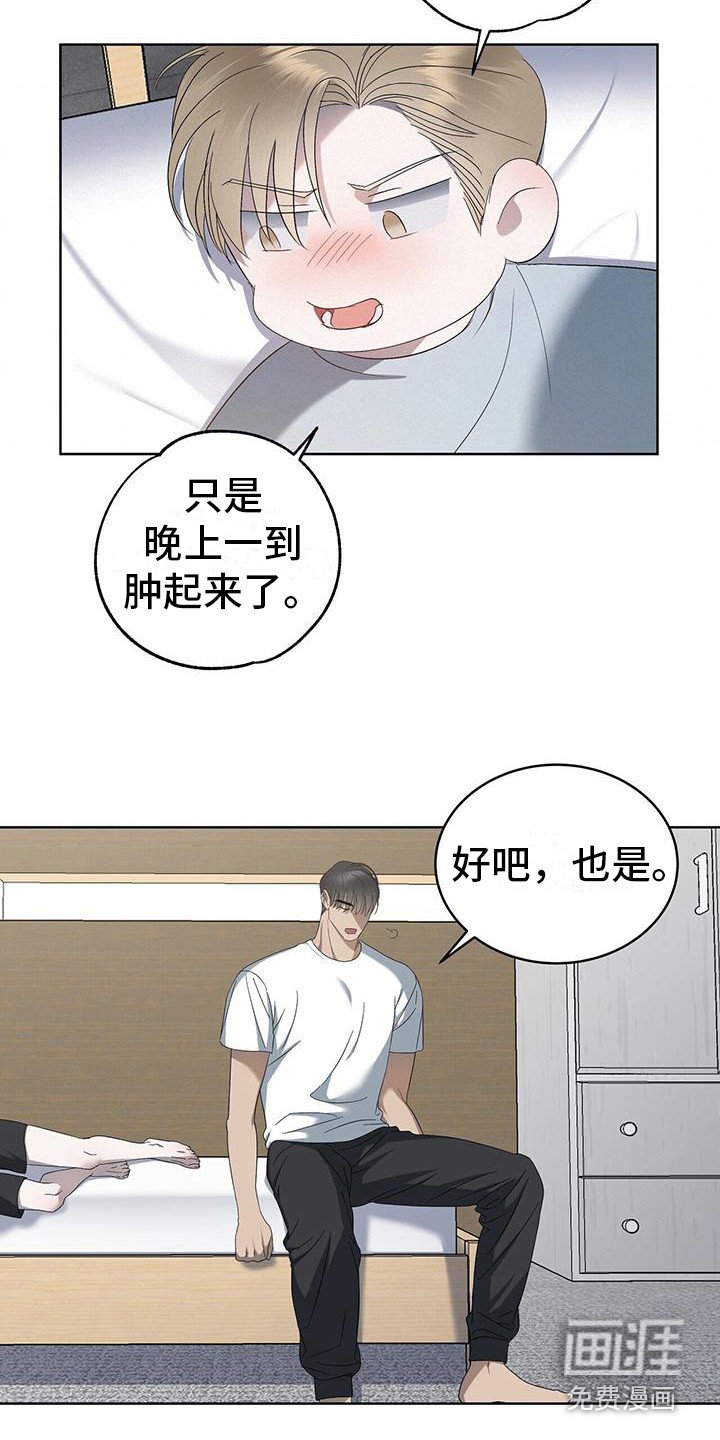 第15章：关注